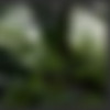 [RubberEva.com] Partial Siterip [2007-2015][Upscaled] [Fetish Syndicate]/2008/Snapshots