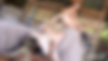 SaraJay.com (7 videos)/screens/sjglovehmarquiseggg.mp4_snapshot_18.06_[2019.08.25_16.14.26].jpg
