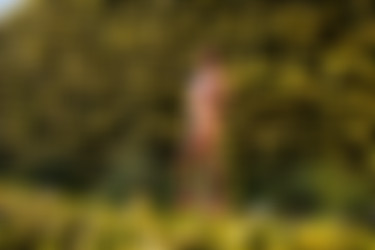 [photodromm.com] 2016-02/[photodromm.com] - 2016.02.24 - Mareeva - The Forbidden Fruit II (x46) 2000x3000/01l.jpg