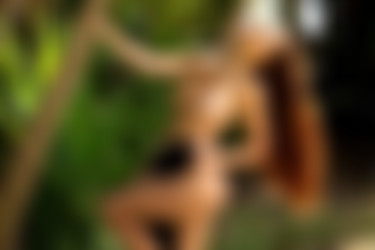 [photodromm.com] 2018-12/[photodromm.com] - 2018.12.20 - Niemira - Parklife II (x50) 2000x3000/37l.jpg