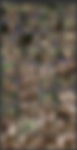 Michaela Soavi/Screens/Natascha im Edel Puff - sc1.avi.jpg