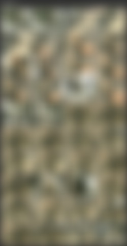 Michaela Soavi/Screens/Outdoor Anal.avi.jpg