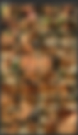 Michaela Soavi/Screens/Private XXX 6.vob.jpg