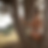 2022phdee/2022-01/[photodromm] 2022-01-04 Parker - Fresh Breeze (x50, 3000 px)