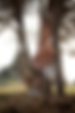 2022phdee/2022-01/[photodromm] 2022-01-04 Parker - Fresh Breeze (x50, 3000 px)/Fresh Breeze (32).jpg
