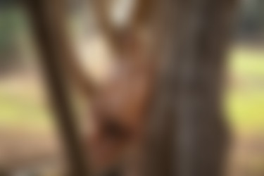 2022phdee/2022-01/[photodromm] 2022-01-04 Parker - Fresh Breeze (x50, 3000 px)/Fresh Breeze (37).jpg