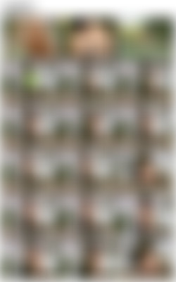 SiliconeFree04 R-S/0 Screens/reny_v005_hq.mp4.jpg