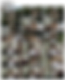 SiliconeFree04 R-S/0 Screens/rosaly_v004_hq.mp4.jpg