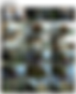 SiliconeFree04 R-S/0 Screens/rosaly_v006_hq.mp4.jpg