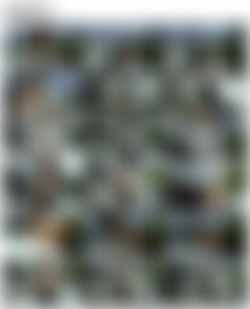 SiliconeFree04 R-S/0 Screens/rosaly_v012_hq.mp4.jpg