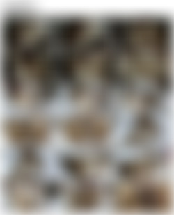 SiliconeFree04 R-S/0 Screens/rosaly_v016_hq.mp4.jpg