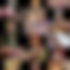 Babecock and Bi Confusion/Bi Confusion/Screens