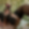 [OnlyFans.com] BustaNutters - SiteRip/Images
