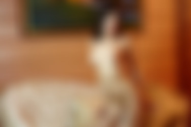 [photodromm.com] 2018-04/[photodromm.com] - 2018.04.28 - Melanie - The Boudoir II (x46) 2000x3000/31l.jpg