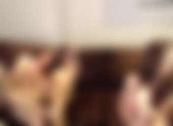camwhores.tv megapack 5/scenes/crazycajuns fun.mp4