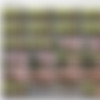PissbankHD thumbnail