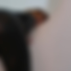 foxy074.mp4