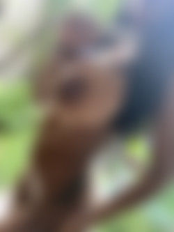 Onlyfans.com - aubreerene/Images/08-11-2019-83178899.jpg