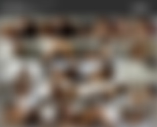 [JaxSlayher.TV] - MegaPACK by SoreForDays/Screenlists/[JaxSlayher.TV] - Kristal Rush - Maximum Velocity.mp4.jpg