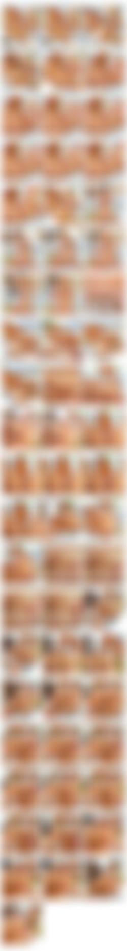 [ftvgirls.com] Photosets - 2002 to 2023-06/Screens/2017#ftvgirls.com_2017-08-17_NAME-Riley_SET-Penetration-Time_AGE-22_MEAS-34C-23-35_S1745G7679.jpg