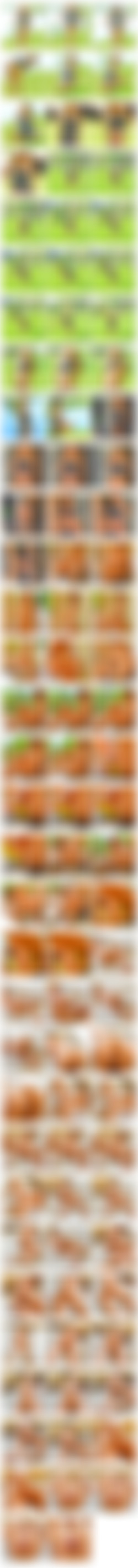 [ftvgirls.com] Photosets - 2002 to 2023-06/Screens/2017#ftvgirls.com_2017-09-08_NAME-Averie_SET-Full-Of-Surprises_AGE-22_MEAS-32A-22-34_S1752G7708.jpg
