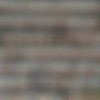 [Fansly.com] Natalia Polyakova - SiteRip thumbnail
