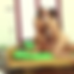 Dani Daniels - Family Affairs Spoiled Brats Love Anal