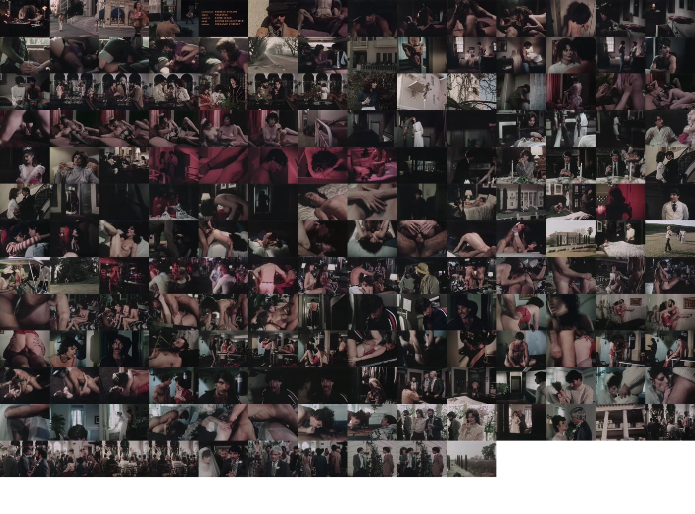 Honey Wilder Filmography (1982-1989) + Bonus/(1982) - Society Affairs.avi